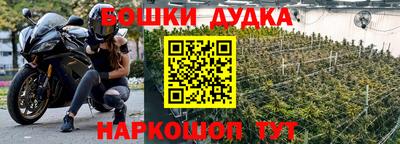 PSILOCYBIN Дубна